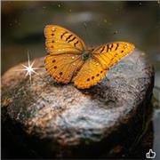 Vous avez besoin d'aide pour l'apprentissage de cette langue étrangère ,Je suis motivée pour vous accompagner et vous aider.